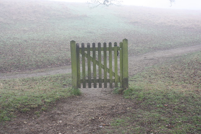 Single Gate