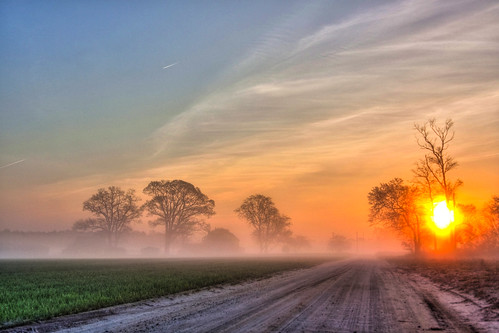 road morning blue trees sun mist tree field misty fog clouds sunrise canon early spring md lowlight cloudy country foggy maryland easternshore shore salisbury dirtroad eastern backroad hdr highdynamicrange atmospheric countryroad sunray eastcoast delmarva easternshoreofmaryland earlymorningmist wicomico canon50d countryrd shoredelmarvaeastern