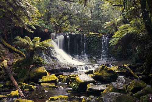green water field waterfall rainforest falls mount tasmania horseshoe