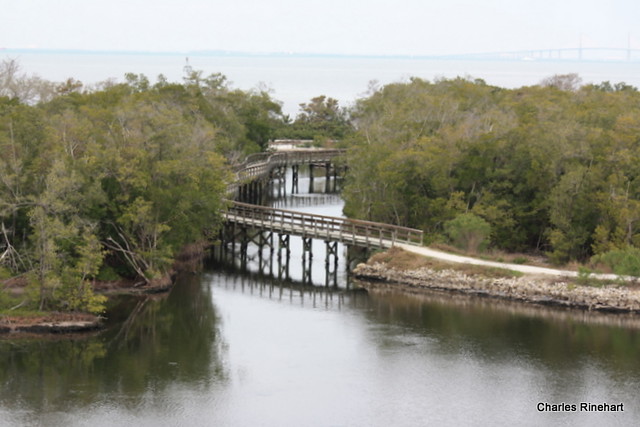Robinson Preserve In Bradenton Florida