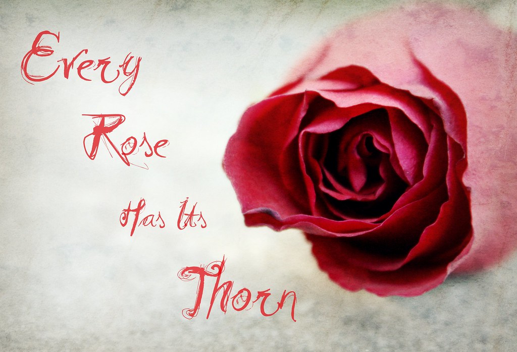Every Rose Has Its Thorn.