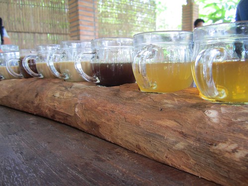 Tasting at Bali Pulina | by traveling9to5