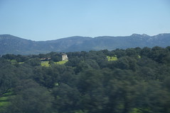 View from Train