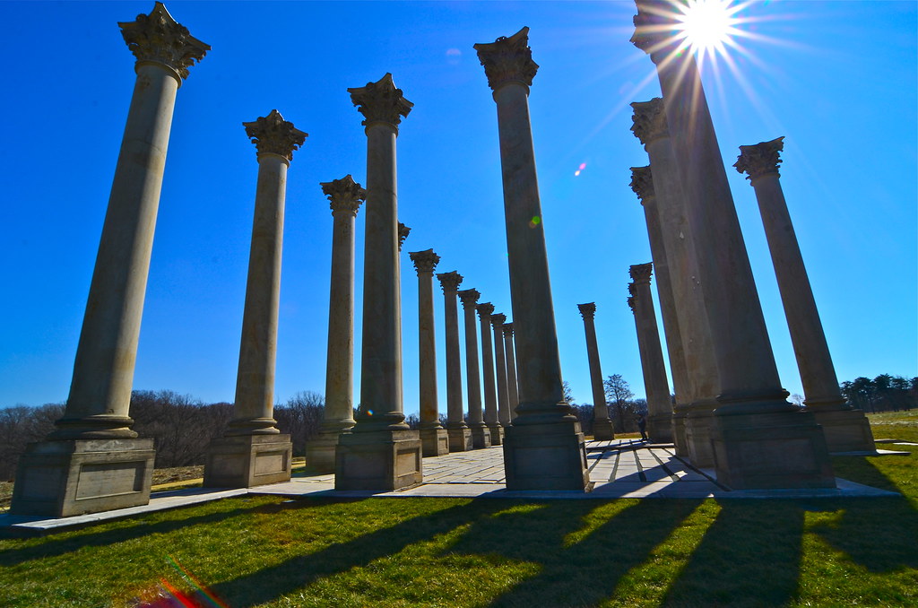 The original columns from the U.S. Capitol