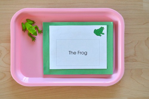 frog-nomenclature-booklet-sortingsprinkles-flickr