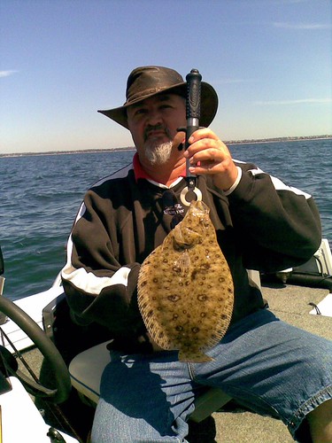 Botany bay flounder | by Ozymacca