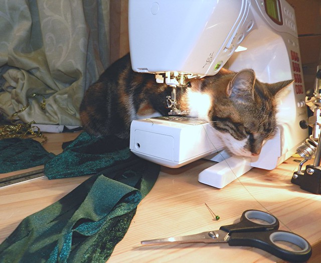 my cat in my sewing machine
