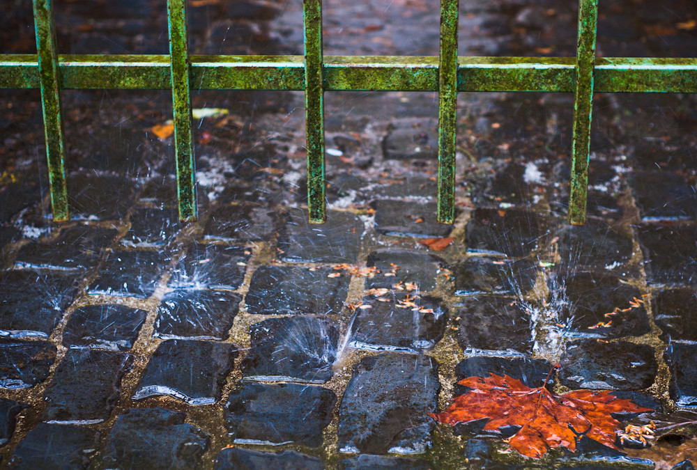 Raindrop's Splash on the Cobbler Stones