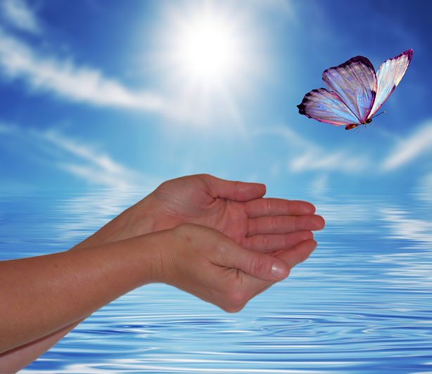 Butterfly flying free from cupped hands