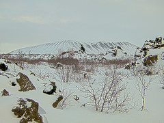 Looking Across The Dimmuborgir Lava Field To Hverfjall, Skútustaðahreppur [HDR Image]