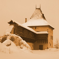 Burg Halitsch