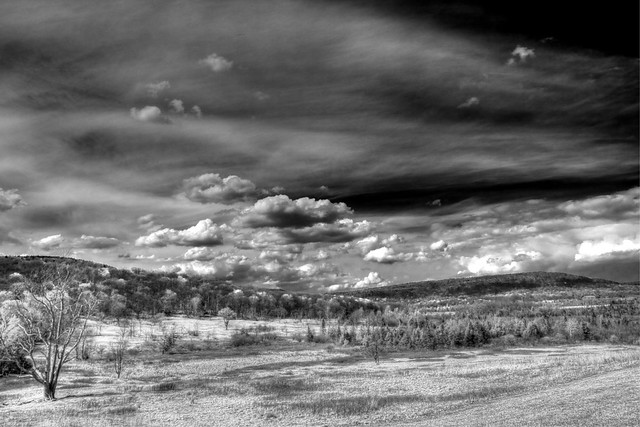 Canaan Valley, WV Monochrome