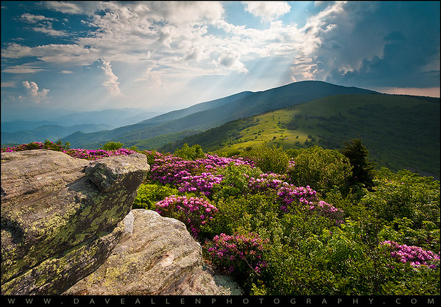 Roan Mountain from Appalachian Trail near Jane's Bald