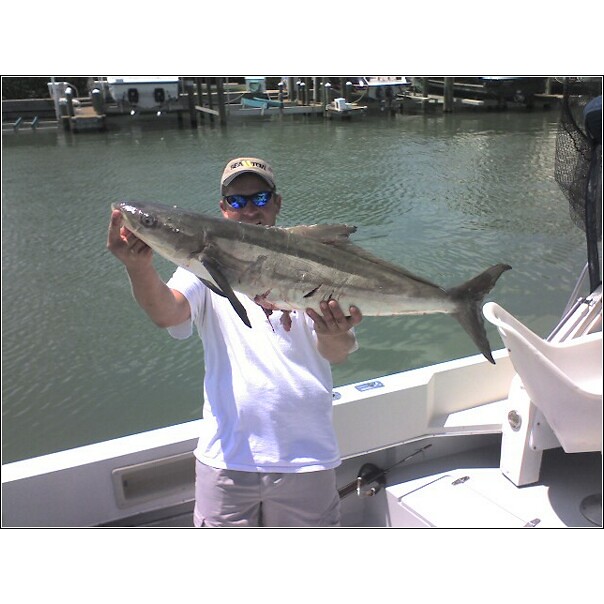 saltwater-fishing-charters-in-florida (311), Cruise Fish Dive Naples  Florida