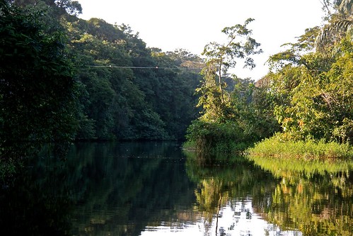 Canals and Creeks 11 | Tortuguero, Costa Rica smilla4blogs | smilla4 ...
