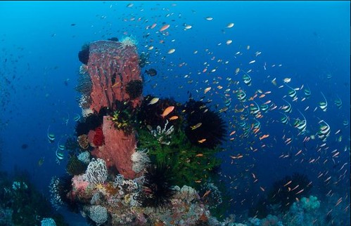 Fiji