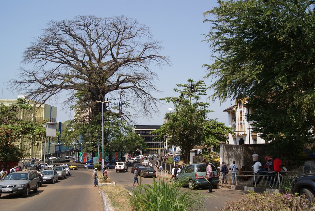 The Cotton Tree, Freetown