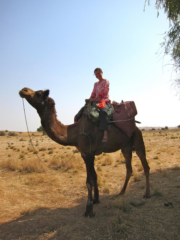 Camel trekking in Jaisalmer