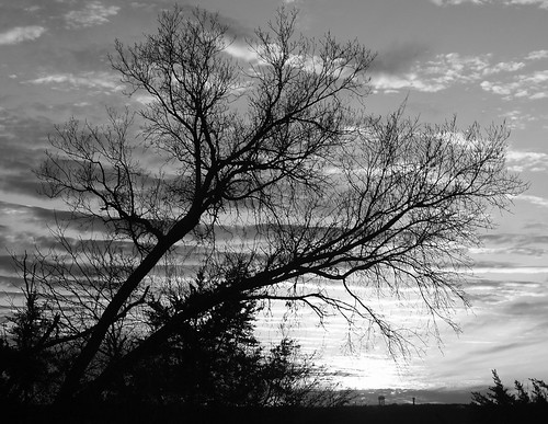 sunset sky bw sun white black tree clouds manhattan ks hill kansas manhattanhill