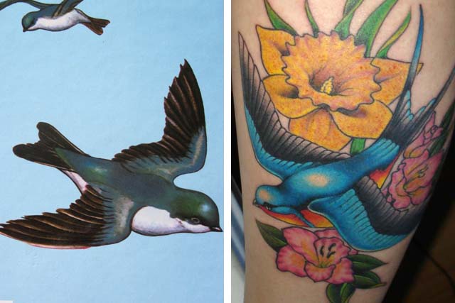 bird book compare to tattoo | Melissa J | Flickr