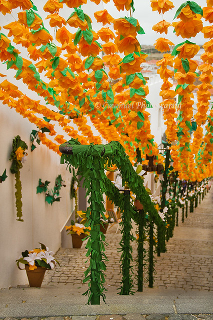 # 066 – 12 – Festas das Flores – Campo Maior – Alentejo – Portugal
