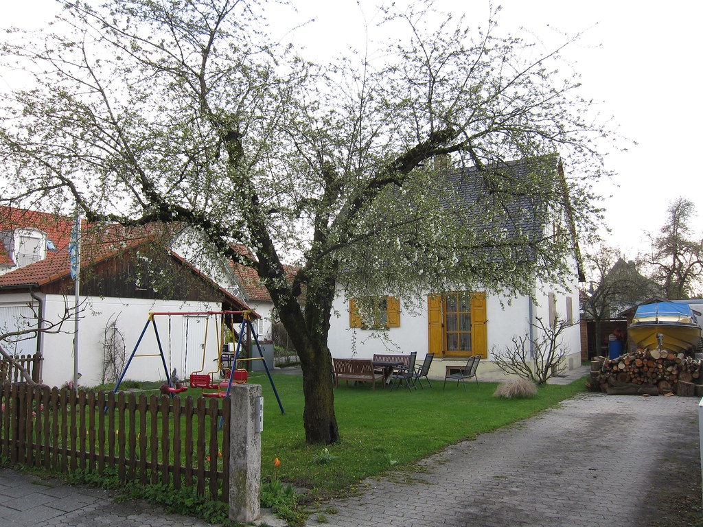 Cute little house with an apple tree