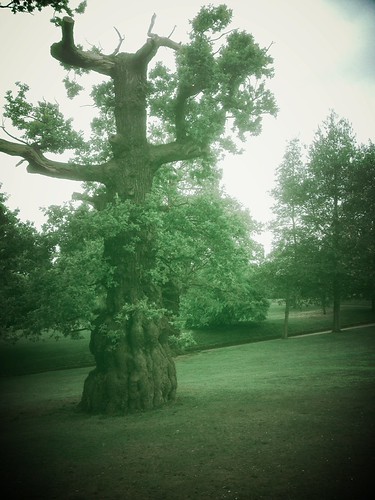Christchurch Park, Ipswich | by FilmsForWebsites
