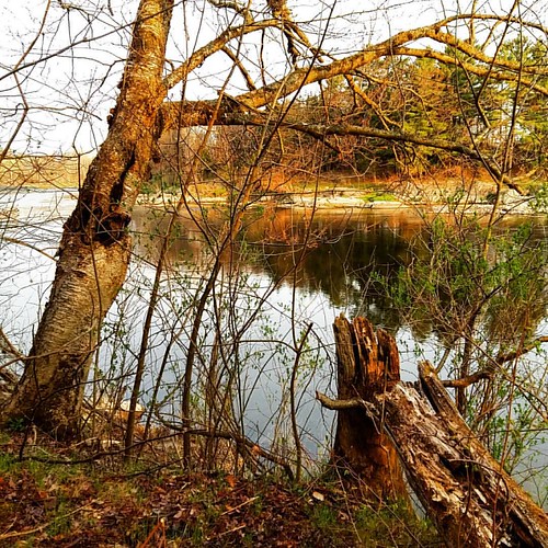 Morning memories #brompton #bromptonville #souvenirs #memoires #memories #remind #souvenir #trees #arbres #sherbrooke #river #riviere #morning #matin #green #vert #plant #plants #sun #soleil #lumiere by hainspiration, square squareformat ludwig iphoneography instagramapp uploaded:by=instagram