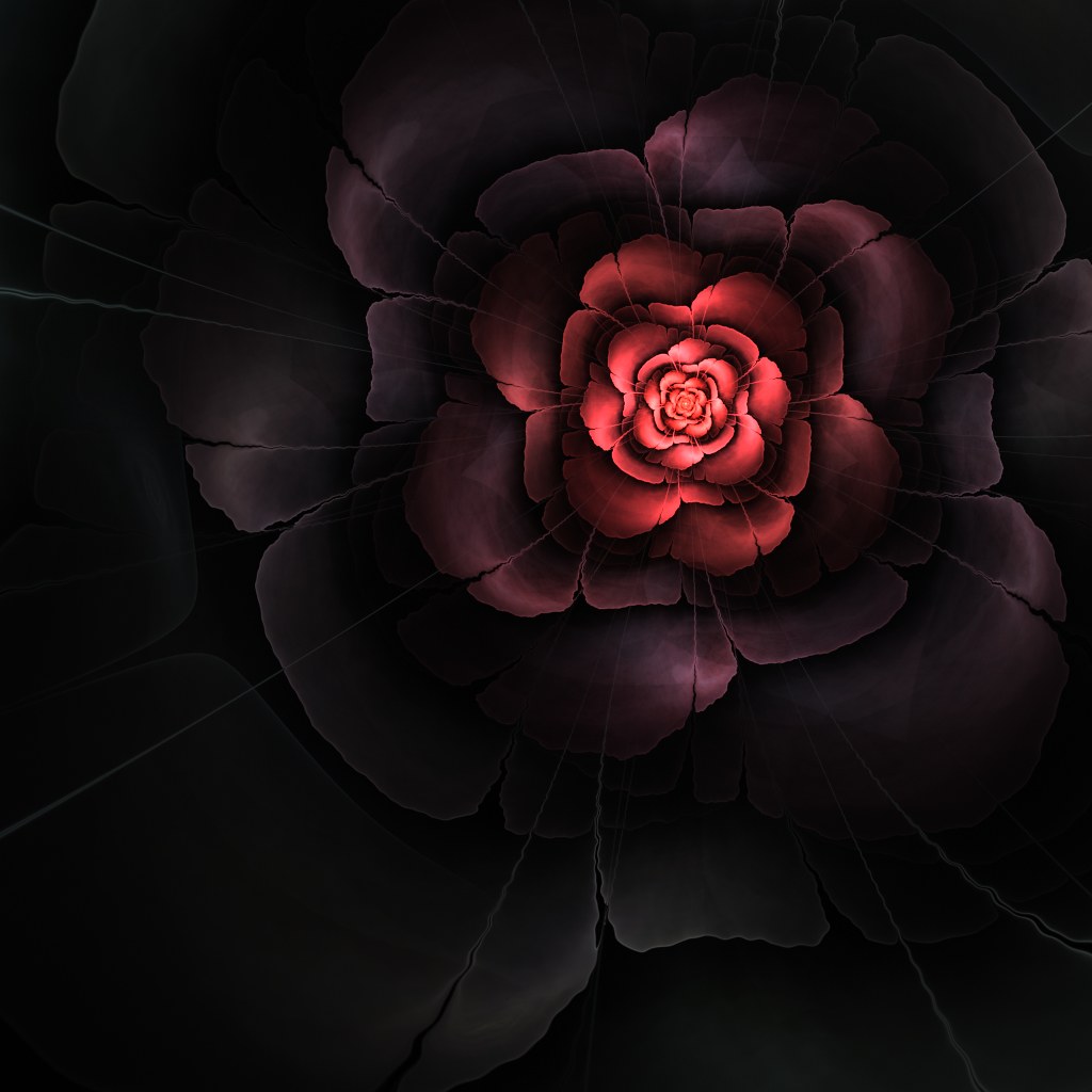 black red flower01