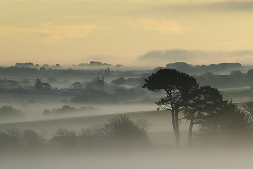 Cornish Mist by Tony Armstrong-Sly