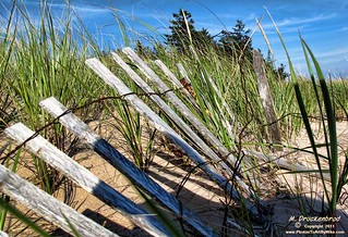 Singing Sands, Basin Head' Prince Edward Island dune fence | by PhotosToArtByMike