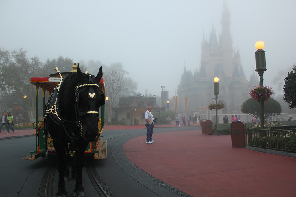Foggy Cinderella Castle - One More Disney Day - Inside the Magic - Flickr