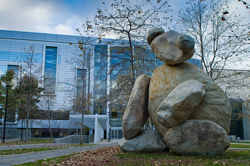 UCSD Teddy Bear