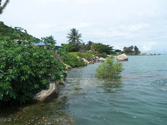 From the jetty, facing the island