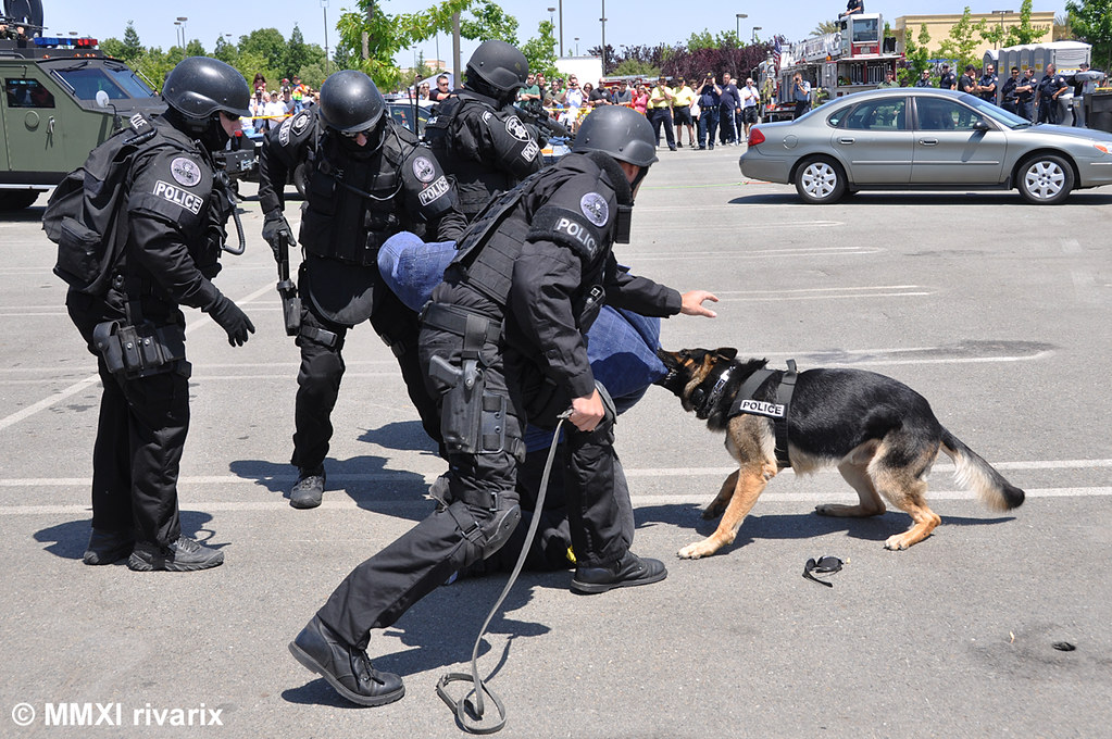 231 Roseville Safety Day Roseville PD Demonstration by R… Flickr