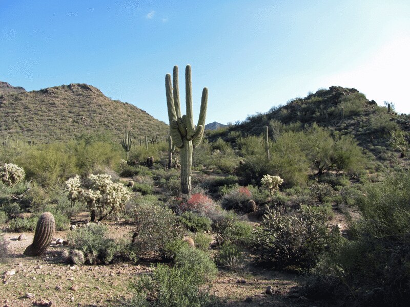 Wind Cave Trail