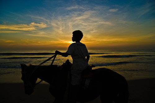 sky horse india beach silhouette clouds marina sunrise nikon marinabeach chennai horseriding d7000