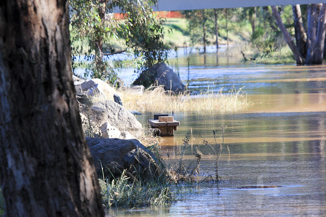 Wagga floods March 2012_-26.jpg