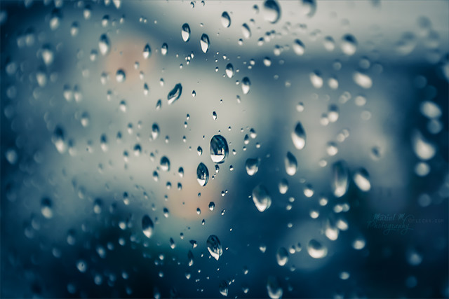 Today is a rainy day...☂