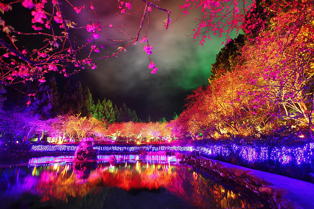 A colorful night (celebrating Sakura Festival) / 繽紛之夜