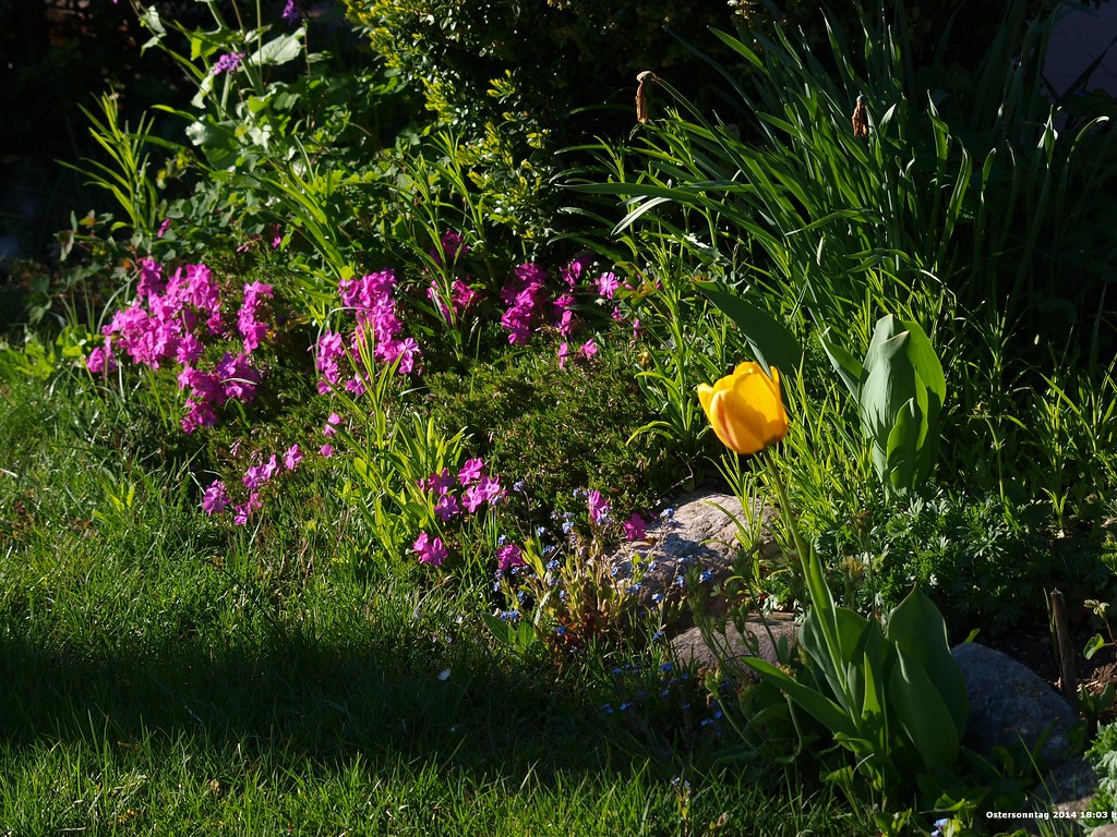 Frühlings-farben