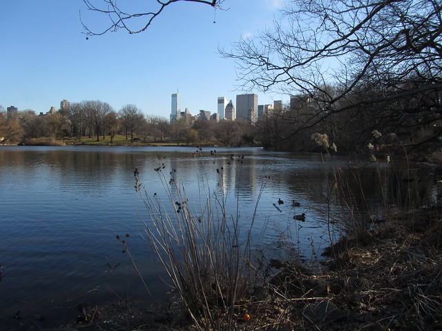View Towards Central Park South