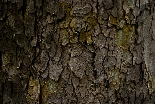 brown wood | by Simon.lewarth