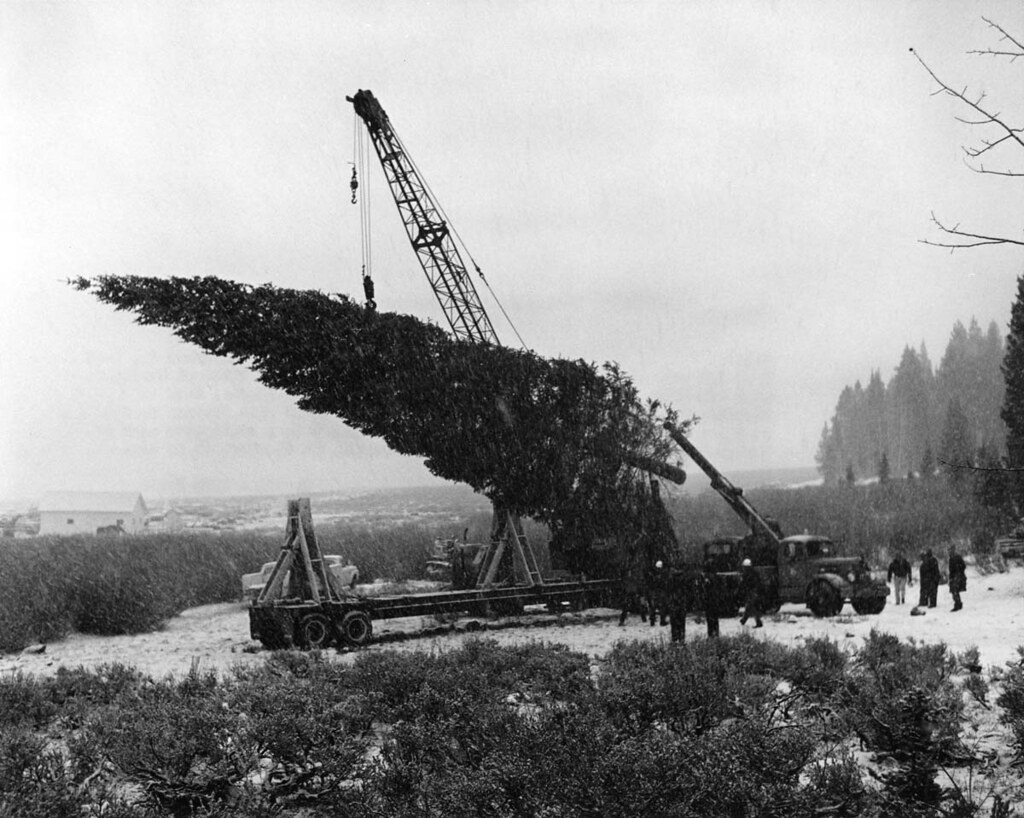 Cutting the 1968 National Christmas Tree