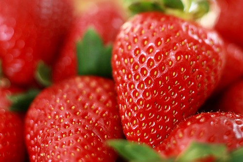 red fruit spring strawbarry strawbarries flickraward yashicaml50mmf17 flickraward5