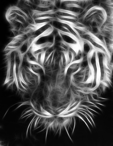 Tiger | by 3otiko_blog