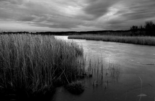 winter blackandwhite ice clouds pond mendon grasses