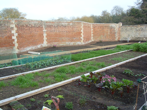Ruskin's Walled Garden