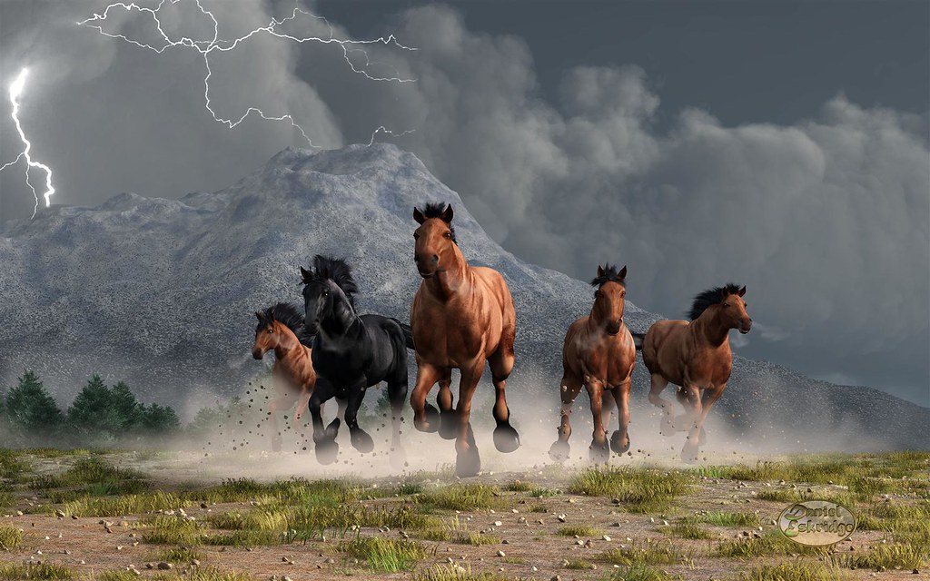 Дикие лошади в россии фото