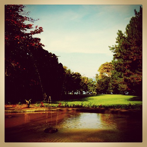 Good Morning #trees #pond #grass #scenery #outdoor #sky #megamendung #indonesia #instagram #iphonesia #iphone4 #igers #ig #instagramgreatness #gf_daily #earlybird | by teguhutama